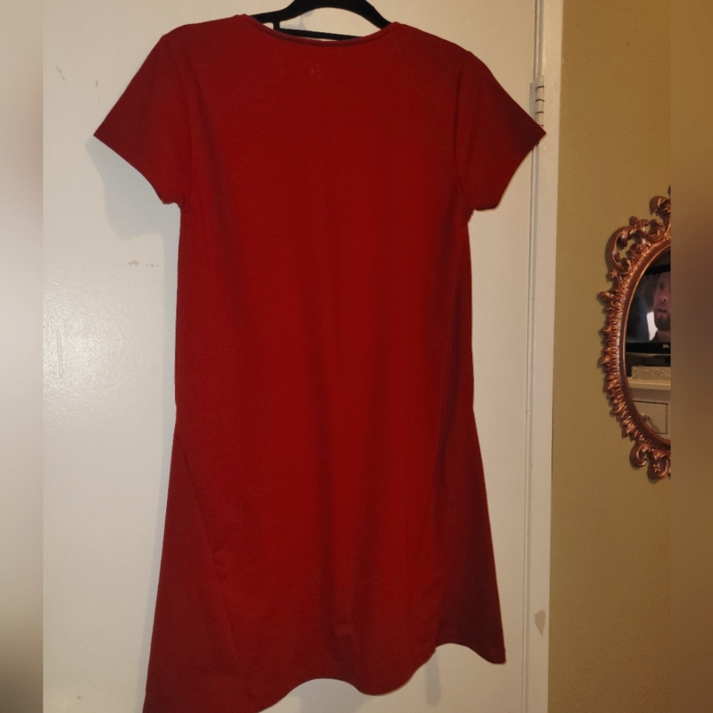 Zara dress